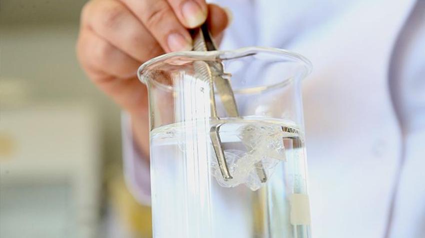 Kocaeli'nden Kuzey Kutbu'na gidip ortaya çıkardı! Lise öğrencisi Elif projesiyle çığır açacak