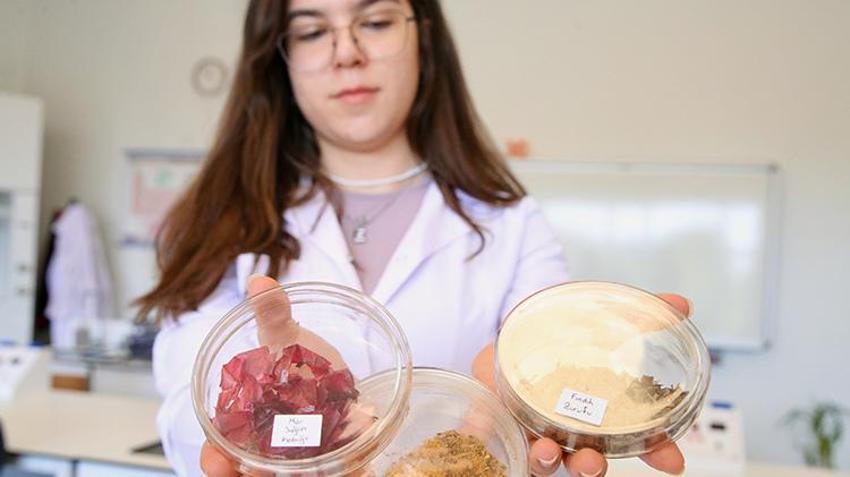 Kocaeli'nden Kuzey Kutbu'na gidip ortaya çıkardı! Lise öğrencisi Elif projesiyle çığır açacak