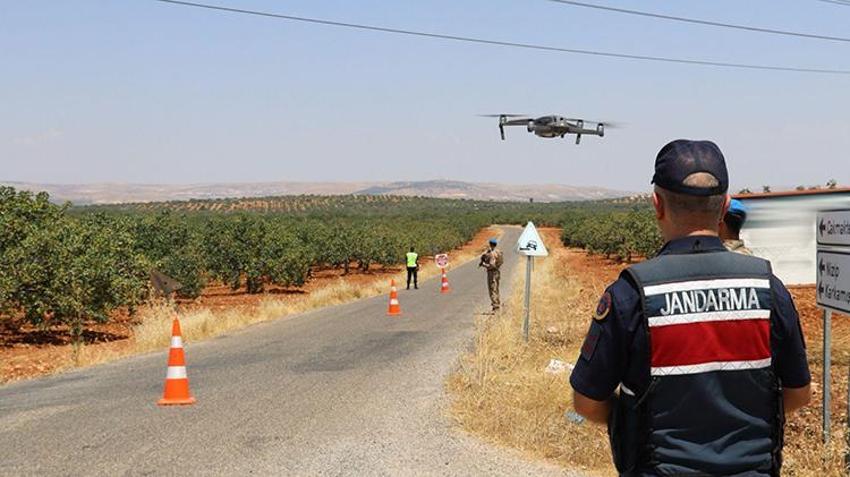 Fiyatı 100 TL'den 1.250 TL'ye fırladı! Jandarma tarlada 7/24 nöbete başladı