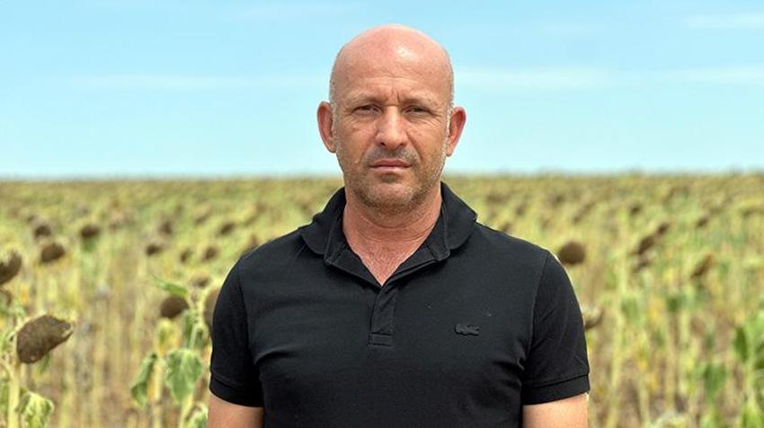 Trakya'da başlar öne eğildi mecburi karar verildi! Edirne'de hasat erkene alınacak