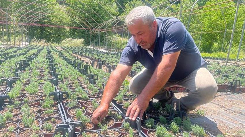 Bursa'da 6 kişi ortak olup üretime başladı! Uludağ'ın eteklerinde para kazanacaklar