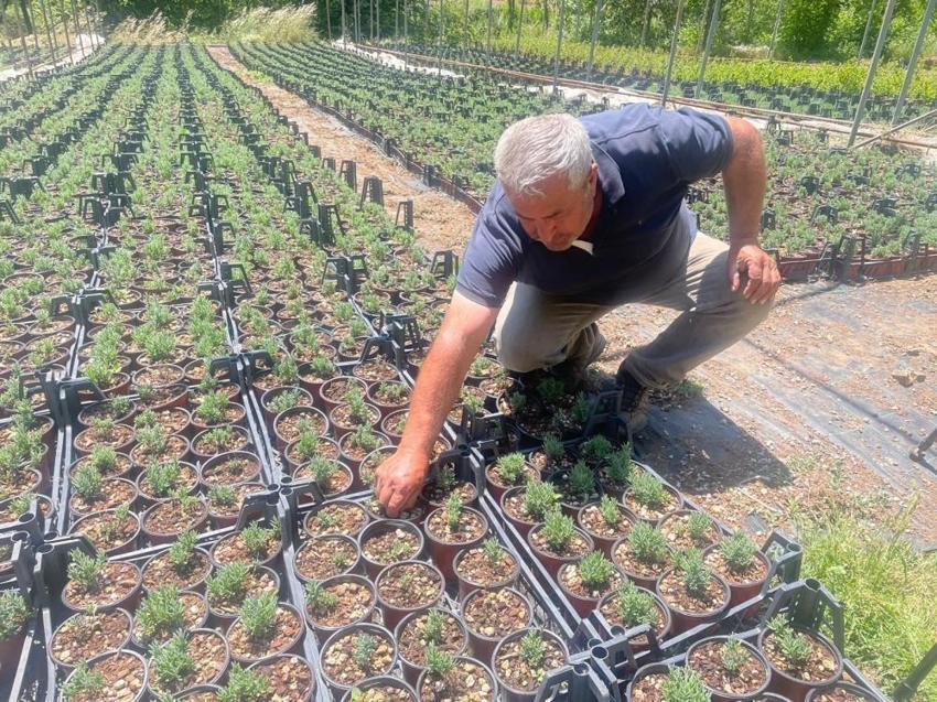 Bursa'da 6 kişi ortak olup üretime başladı! Uludağ'ın eteklerinde para kazanacaklar