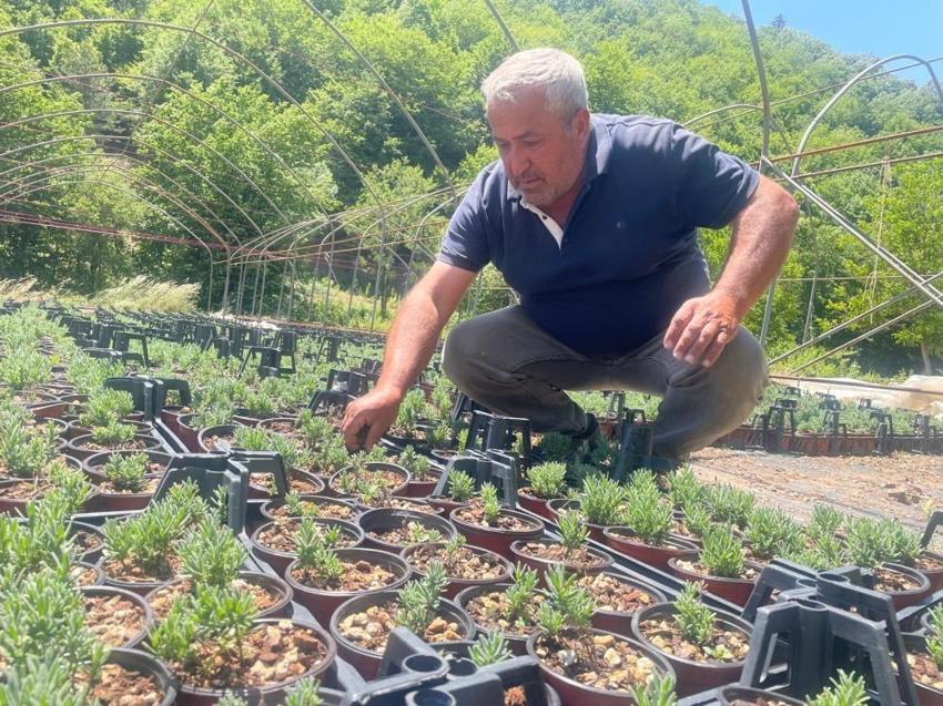 Bursa'da 6 kişi ortak olup üretime başladı! Uludağ'ın eteklerinde para kazanacaklar