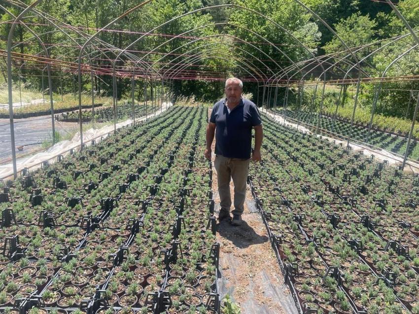 Bursa'da 6 kişi ortak olup üretime başladı! Uludağ'ın eteklerinde para kazanacaklar