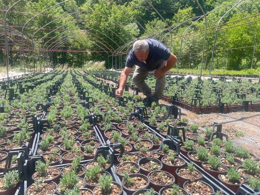 Bursa'da 6 kişi ortak olup üretime başladı! Uludağ'ın eteklerinde para kazanacaklar