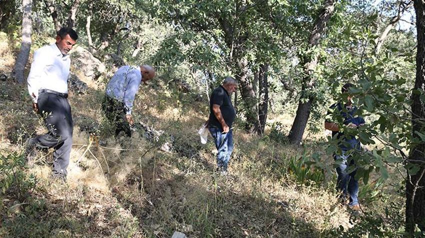 Siirt Tillo'da nöbet başladı! Sadece mezarlıkta yetişiyor; koparmanın cezası yarım milyon TL