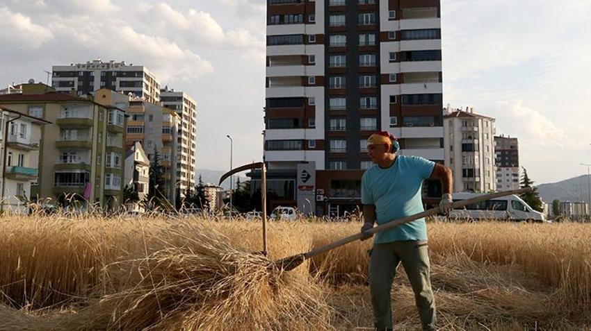 Kayserili astsubay emekli oldu ata mirasına sahip çıktı! Apartmanların arasında köy hayatı yaşıyor