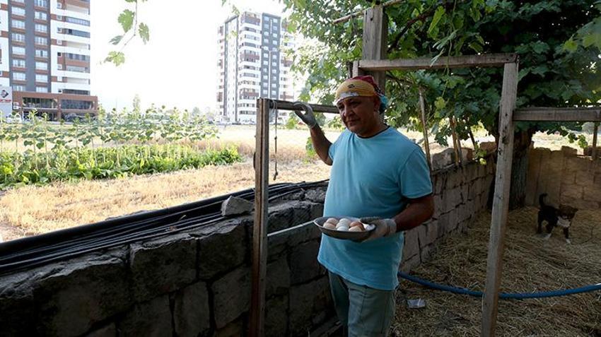 Kayserili astsubay emekli oldu ata mirasına sahip çıktı! Apartmanların arasında köy hayatı yaşıyor