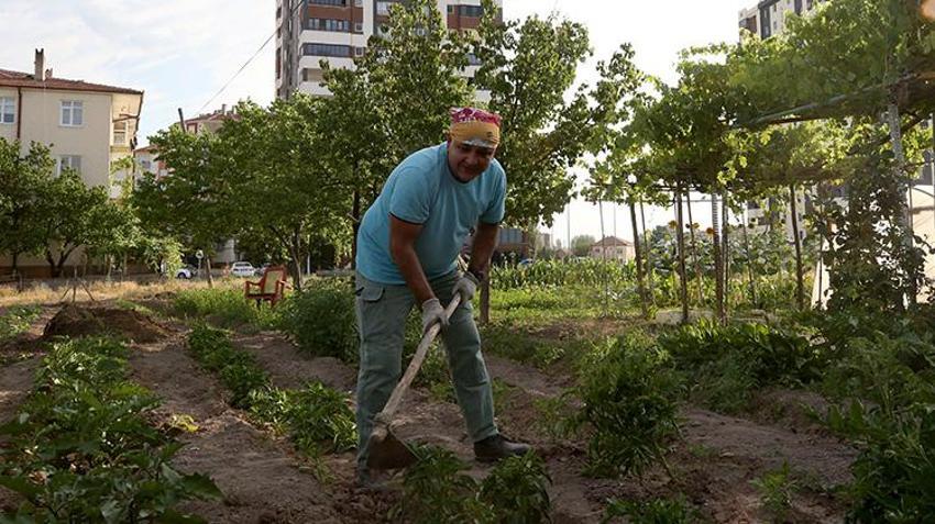 Kayserili astsubay emekli oldu ata mirasına sahip çıktı! Apartmanların arasında köy hayatı yaşıyor