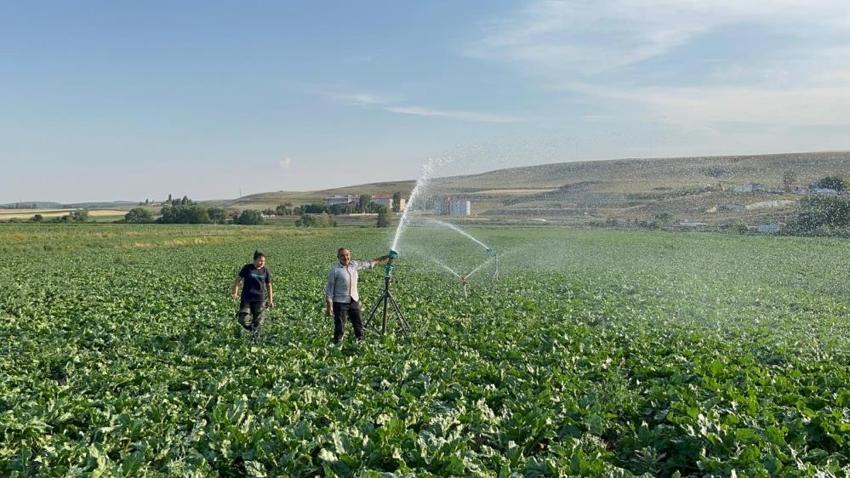 Karslı çiftçinin tek derdi çocuklarını okutmak! Bunun için yıllardır her gün sabahın köründe tarlaya gidiyor