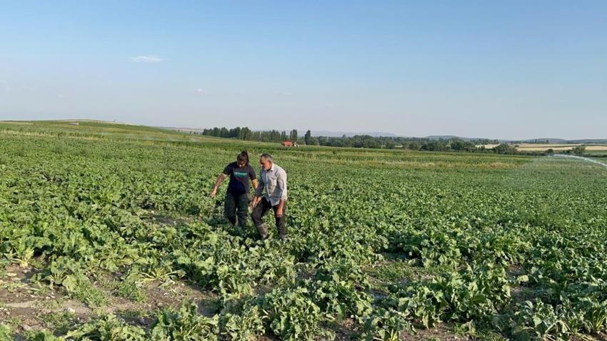 Karslı çiftçinin tek derdi çocuklarını okutmak! Bunun için yıllardır her gün sabahın köründe tarlaya gidiyor
