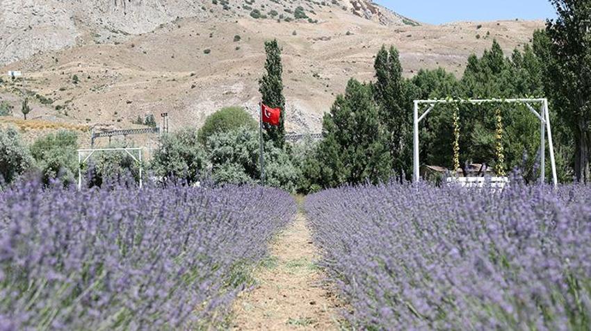 Şehir hayatını bıraktı, köyünde üretmeye başladı; Eşinin hastalığına çözüm ararken servet kazandı!