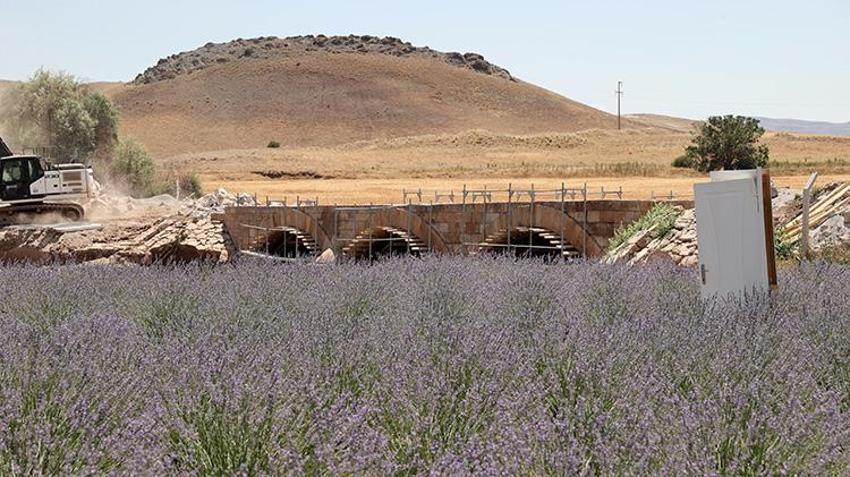 Şehir hayatını bıraktı, köyünde üretmeye başladı; Eşinin hastalığına çözüm ararken servet kazandı!
