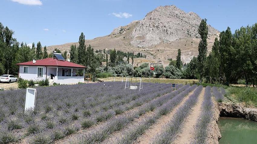Şehir hayatını bıraktı, köyünde üretmeye başladı; Eşinin hastalığına çözüm ararken servet kazandı!