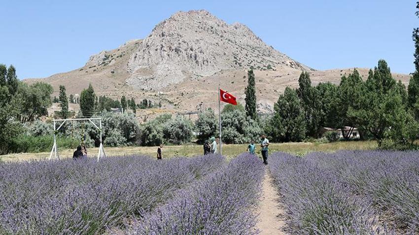 Şehir hayatını bıraktı, köyünde üretmeye başladı; Eşinin hastalığına çözüm ararken servet kazandı!