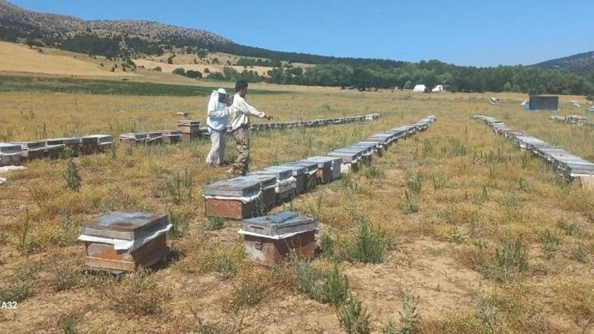 Konya'da sahaya inildi: Tarlada tek tek kayıt altına alındı! Üretim kat kat artıyor