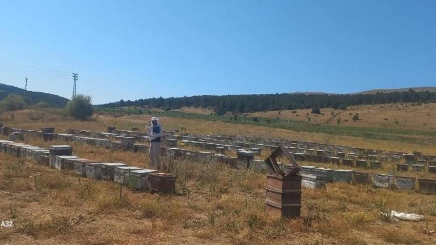 Konya'da sahaya inildi: Tarlada tek tek kayıt altına alındı! Üretim kat kat artıyor