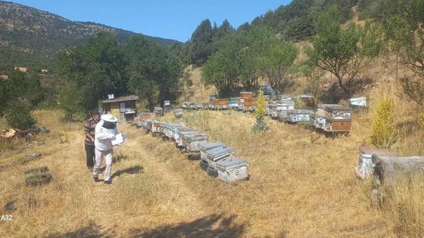 Konya'da sahaya inildi: Tarlada tek tek kayıt altına alındı! Üretim kat kat artıyor
