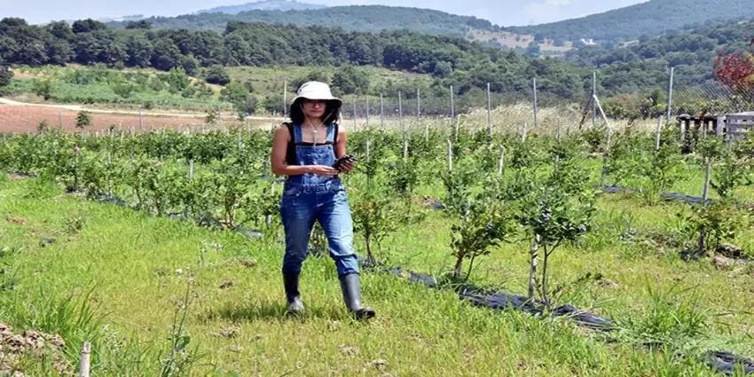 70 doktor Adana'da bir araya geldi, 500 dönüm araziye ekti! Hem internetten hem pazardan kapış kapış gidiyor