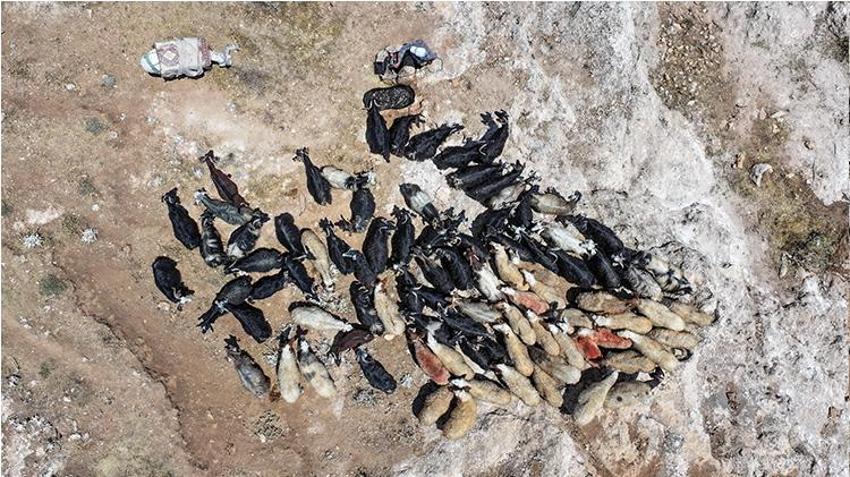 Batman'ın bu köyü susuzluğa çare buldu! Örnek proje ile kış aylarının bereketi yaz aylarına taşındı