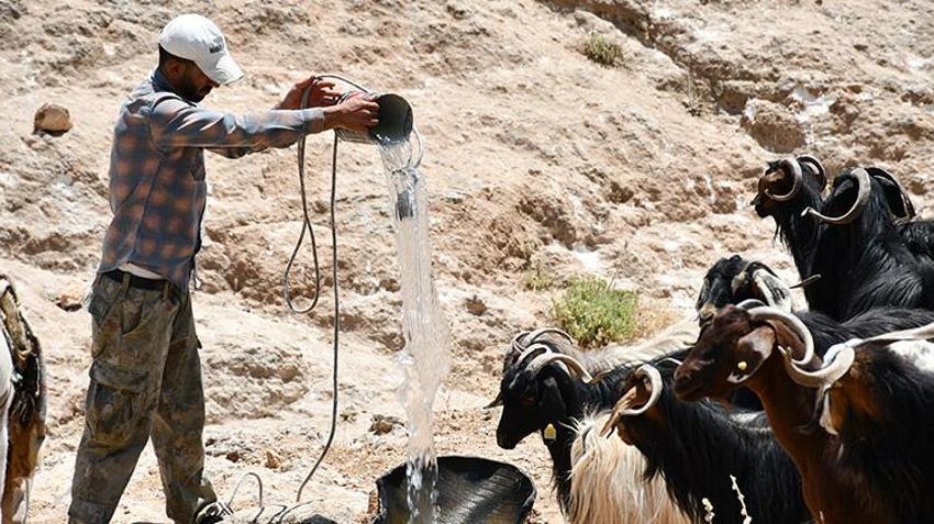Batman'ın bu köyü susuzluğa çare buldu! Örnek proje ile kış aylarının bereketi yaz aylarına taşındı