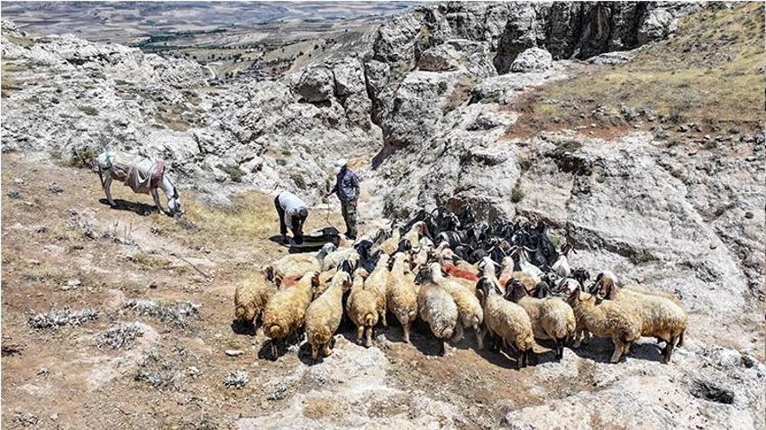 Batman'ın bu köyü susuzluğa çare buldu! Örnek proje ile kış aylarının bereketi yaz aylarına taşındı