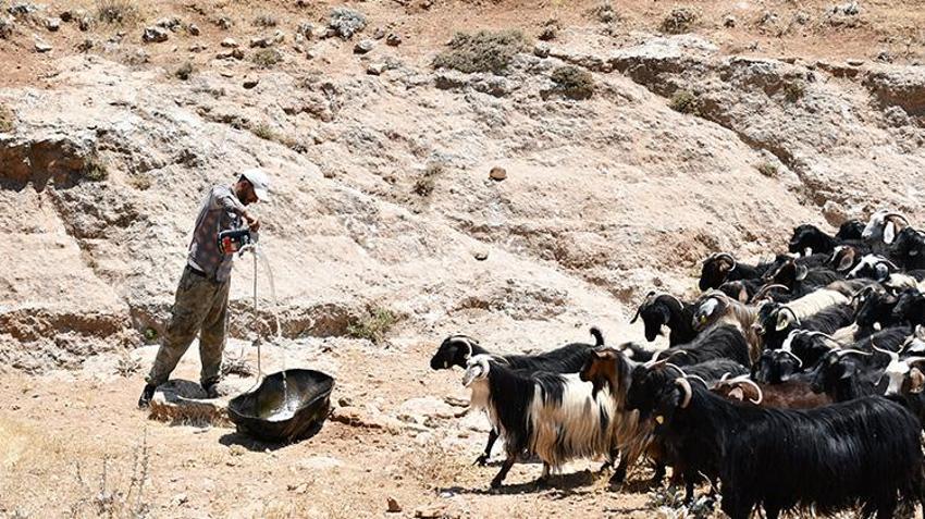 Batman'ın bu köyü susuzluğa çare buldu! Örnek proje ile kış aylarının bereketi yaz aylarına taşındı