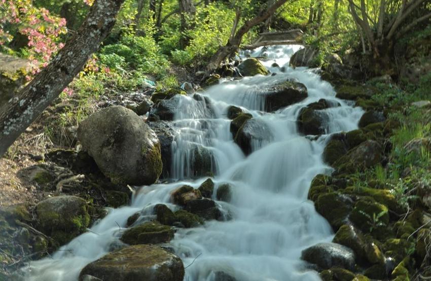 Bitlis'te turistlere sığınak sunuluyor: Bu görüntü ne Antalya'da ne Muğla'da var!