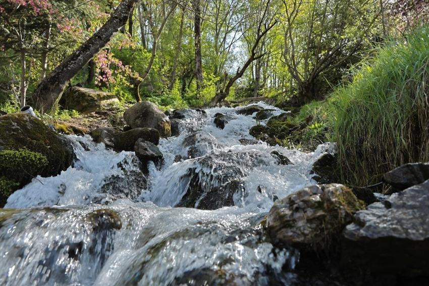 Bitlis'te turistlere sığınak sunuluyor: Bu görüntü ne Antalya'da ne Muğla'da var!