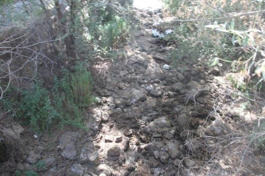 Konya'nın geçim kaynağı bitti: Ölümler başladı