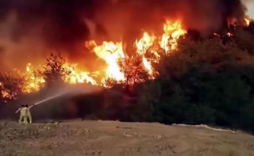 Sakarya yangınından nefes kesen anlar: Alevlerin içinde böyle görüntülendi