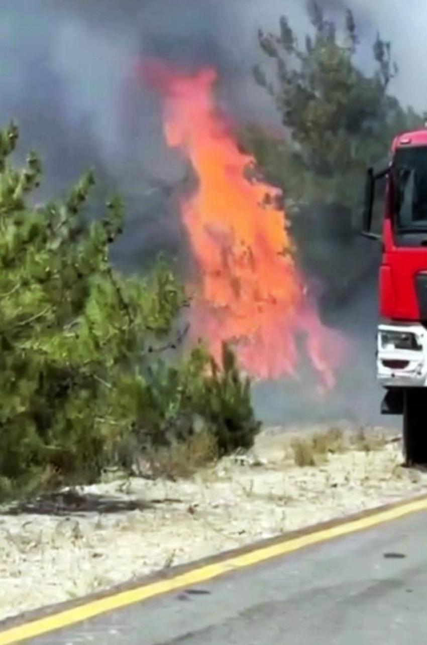 Sakarya yangınından nefes kesen anlar: Alevlerin içinde böyle görüntülendi