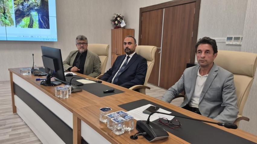 Bartın'da tesadüfen buldular, gerçeği öğrenince şok oldular! 640 yaşında, Türkiye'nin en yaşlılarından biri!