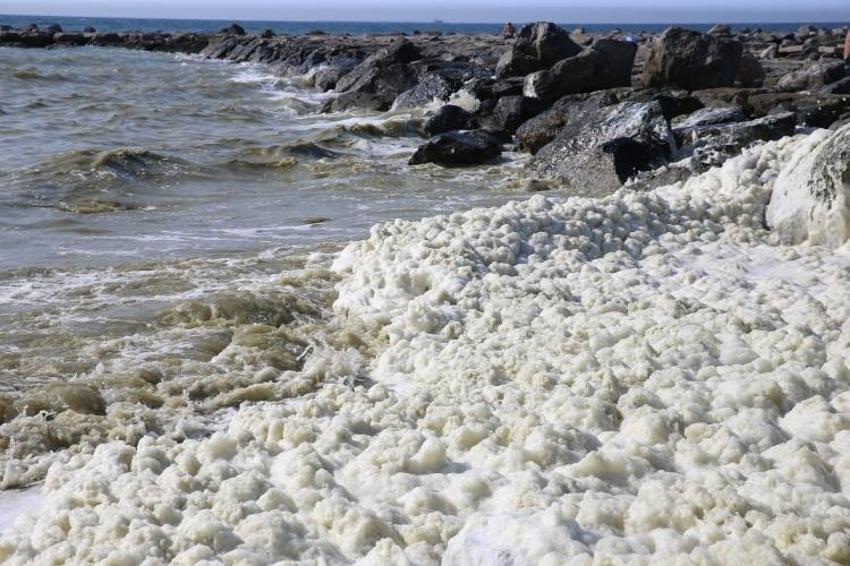 Deniz kıyısında görüldü: Hatay'da köpüklerin arasında fark edildi! Acil incelemeye alındı