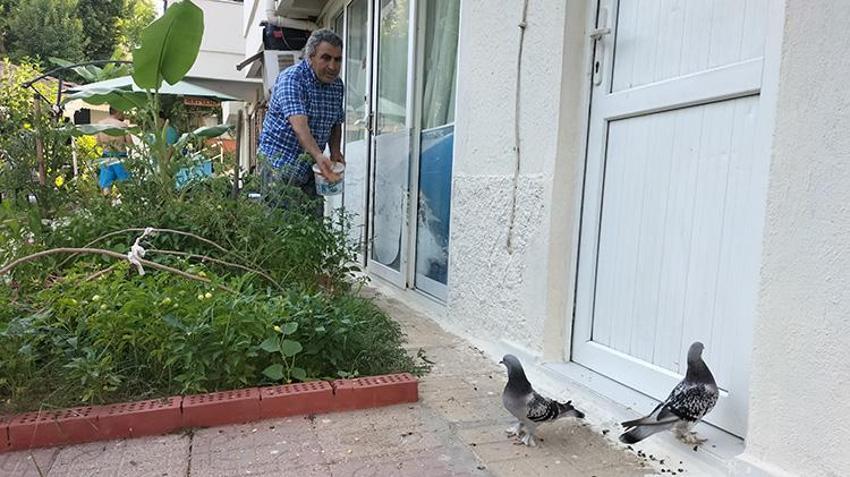 İşlettiği otelin bahçesini hayvan cennetine çevirdi!