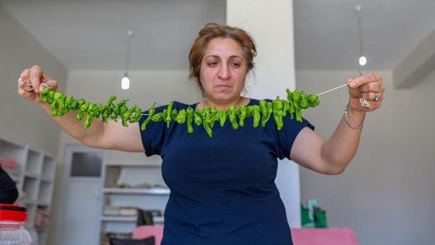 Diyarbakır'da hasat bereketli başladı! Çermik'in tescilli ürünü Avrupa yolcusu