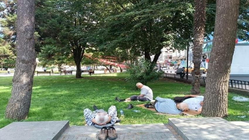 87 yıl sonra Samsun'da görüldü: İki ilçede rekor kırıldı!