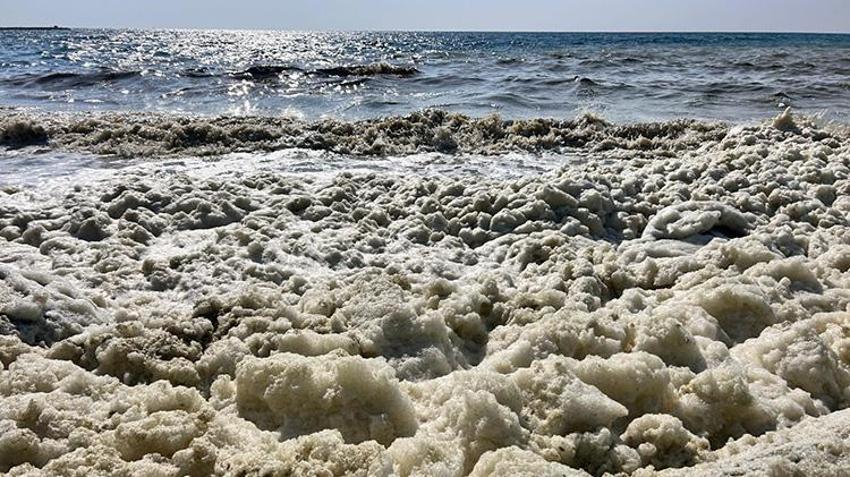 İskenderun Körfezi'nde görenleri tedirgin etti! Denizin üzerini kapladı, bilim insanları nedenini açıkladı
