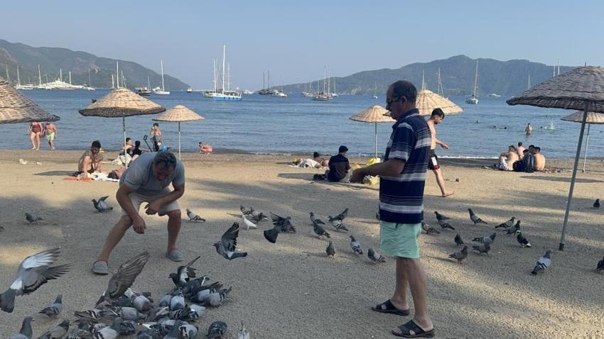 Marmaris halk plajının zarif müdavimleri: Vatandaşlar ilgiye boğdu