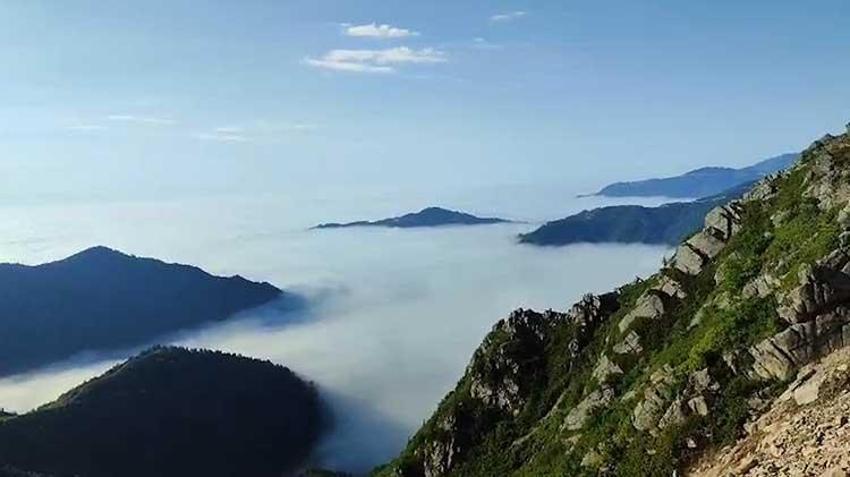 Dünyada eşi benzeri yok! Rize'deki yüzen adalar resmen 'haber' veriyor, sadece bilen anlıyor