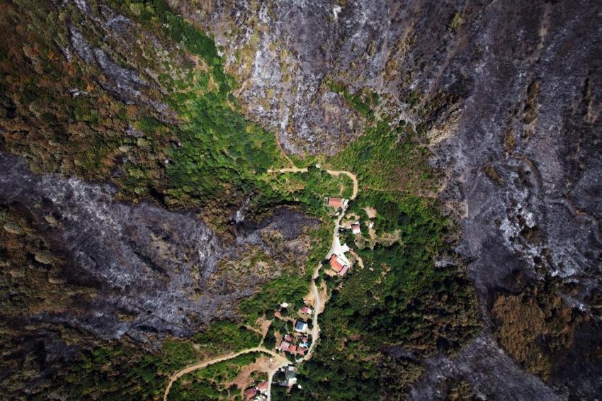 Sakarya'da yangın sonrası acı tablo: Yemyeşil ormanlardan geriye kapkara küller kaldı