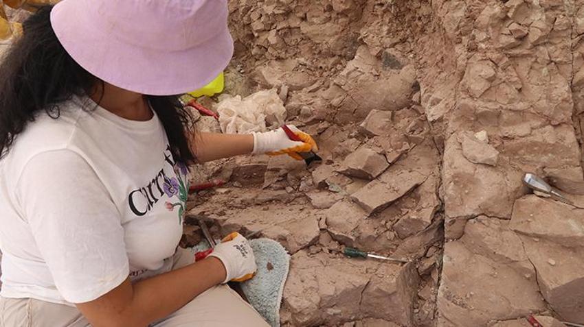 Çankırı'da başladı, dünyada eşi benzeri yok! 15 kişilik ekip 9 milyon yıllık gizemi çözecek