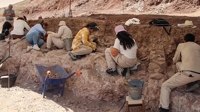 Çankırı'da başladı, dünyada eşi benzeri yok! 15 kişilik ekip 9 milyon yıllık gizemi çözecek