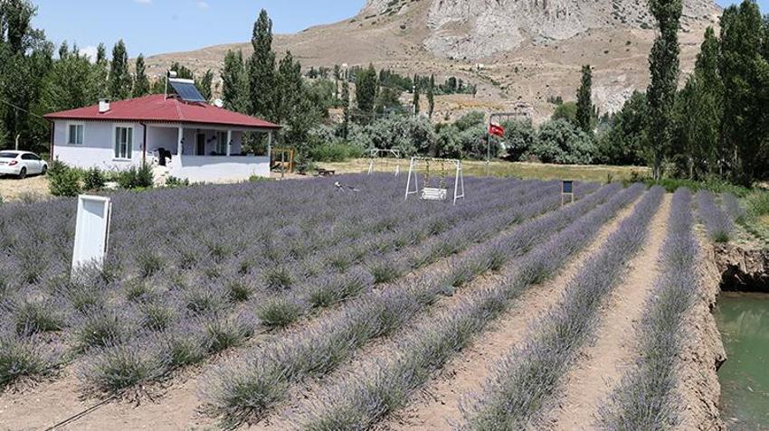 35 yıl sonra köyüne dönünce internetten bakıp yaptı! Eşinin hastalığının ilacı şimdi gelir kapısı olacak