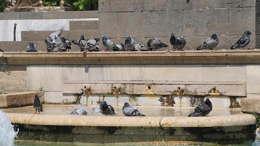 'Cehennem Sıcakları' Adana'yı vurdu: Asfalt eridi! Uzmanlar uyardı: 'Mümkünse dışarı çıkmayın!'