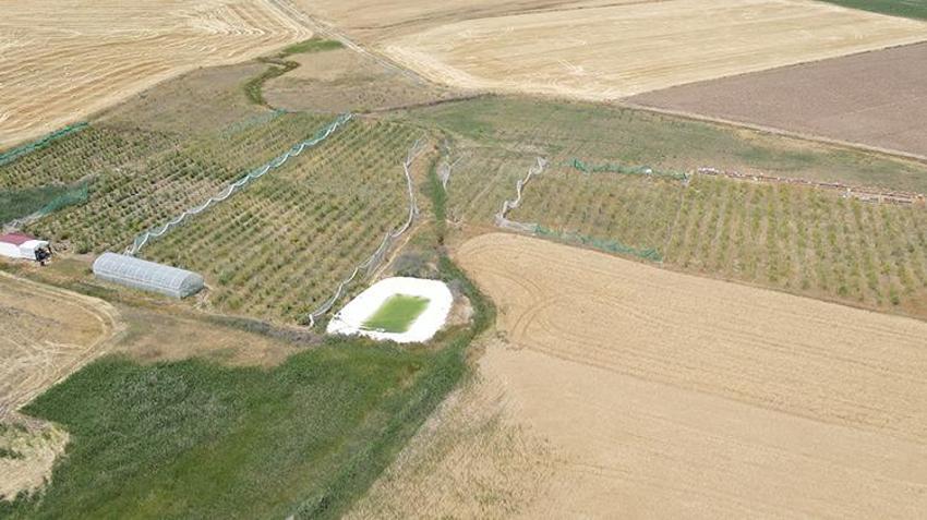 Sivas'ta 4 kardeş şeker hastası annesi için yaptı! 9'dan 500'e patladı: Her gün binlerce çıktığını görüyoruz