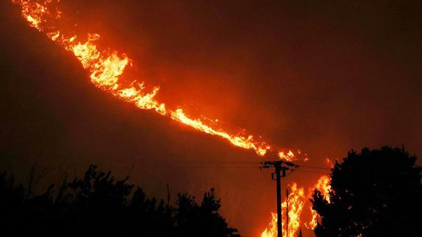 Orman yangınlarında gözden kaçan hayati detay! Uzmanlar açıkladı: Sebebi sadece kuraklık değil