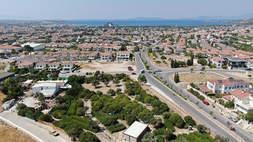 Dünyada sadece Yunanistan ve Çeşme'de var! Fiyatı gram altını üçe katladı, kilosu 15 bin TL'den kapış kapış gidiyor