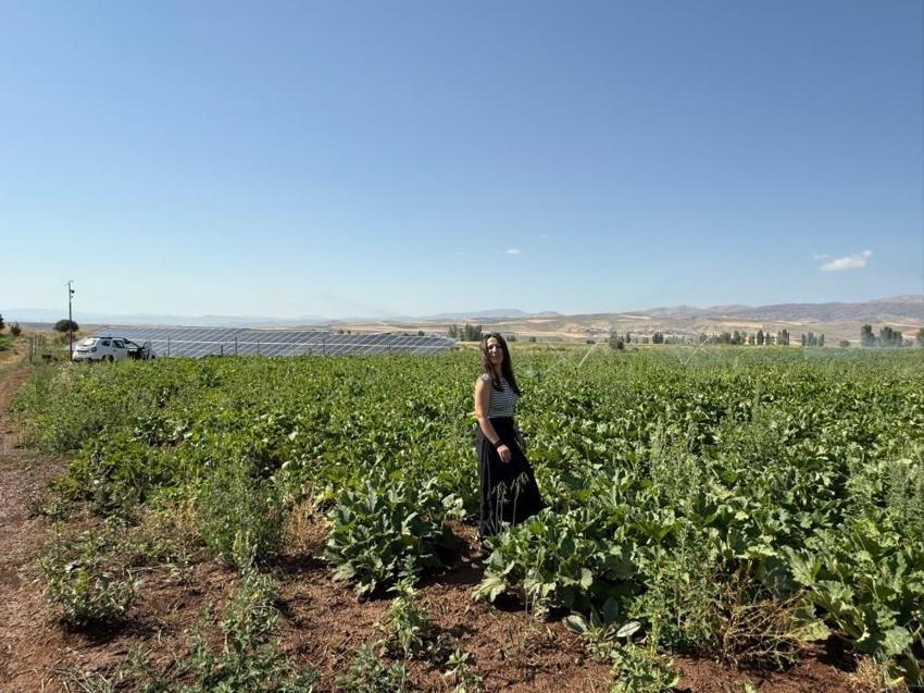 100 dekarda Erzincanlılar zengin oluyor: Tüm köylü üretince kontroller başladı
