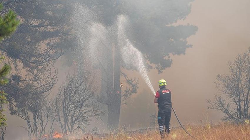 Bursa'da bir vatandaş evine kadar ulaşan yangını gözyaşlarıyla anlattı! 'Gece 3'ten sonra alevler bitti kozalakların patlaması başladı'